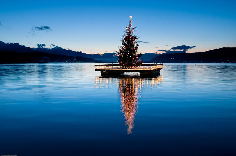 Christbaum auf einem Plateau am Woerthersee